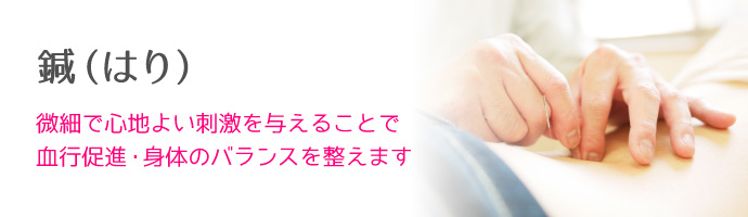 施術内容 鍼（はり）