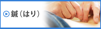 鍼(はり)
